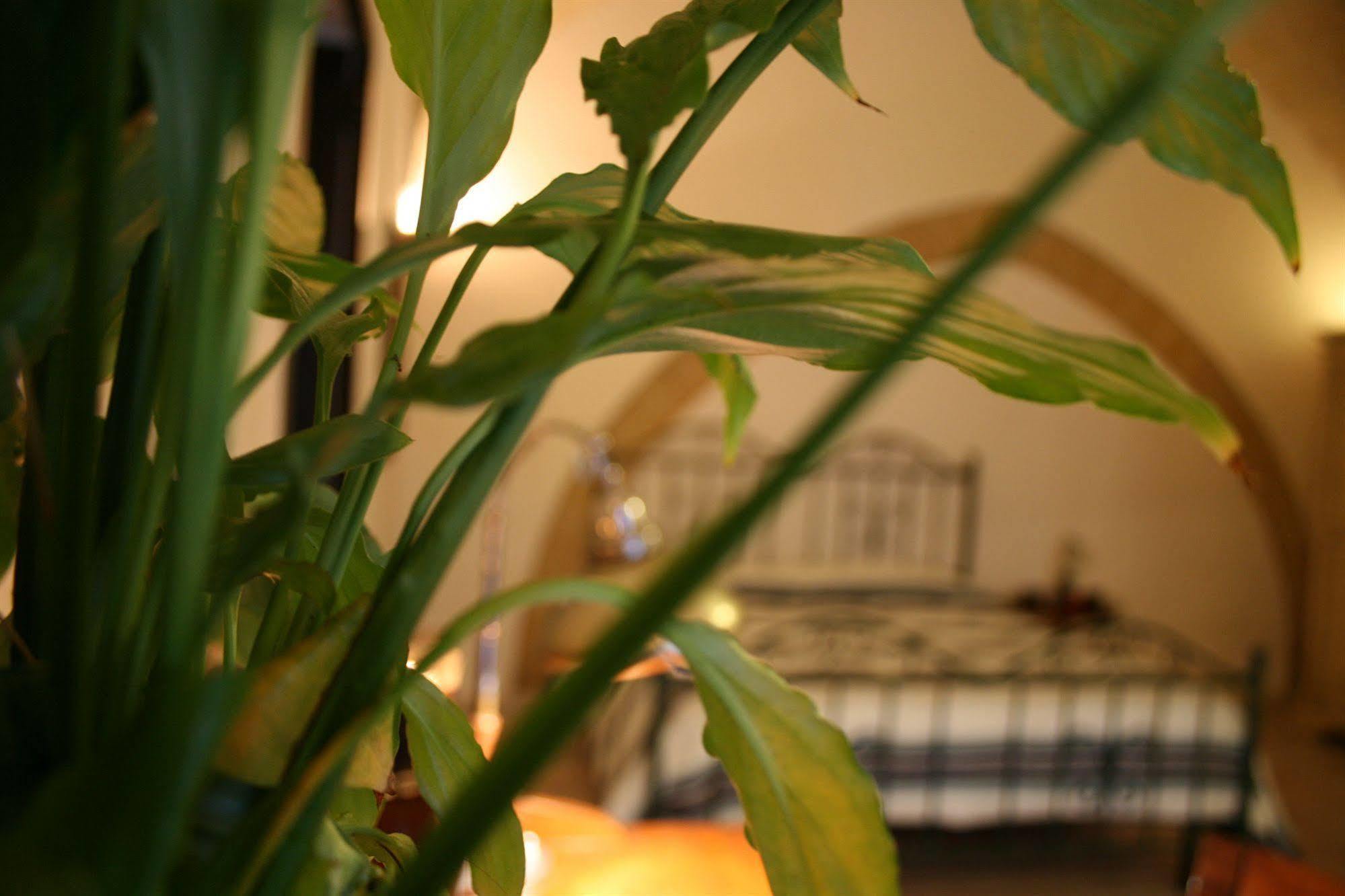 Antiche Volte B&B Lecce Extérieur photo